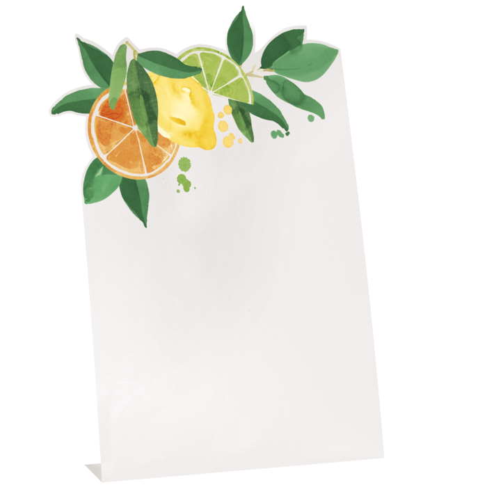 Citrus Fruit Place Cards Pack of 6 | Party Save Smile