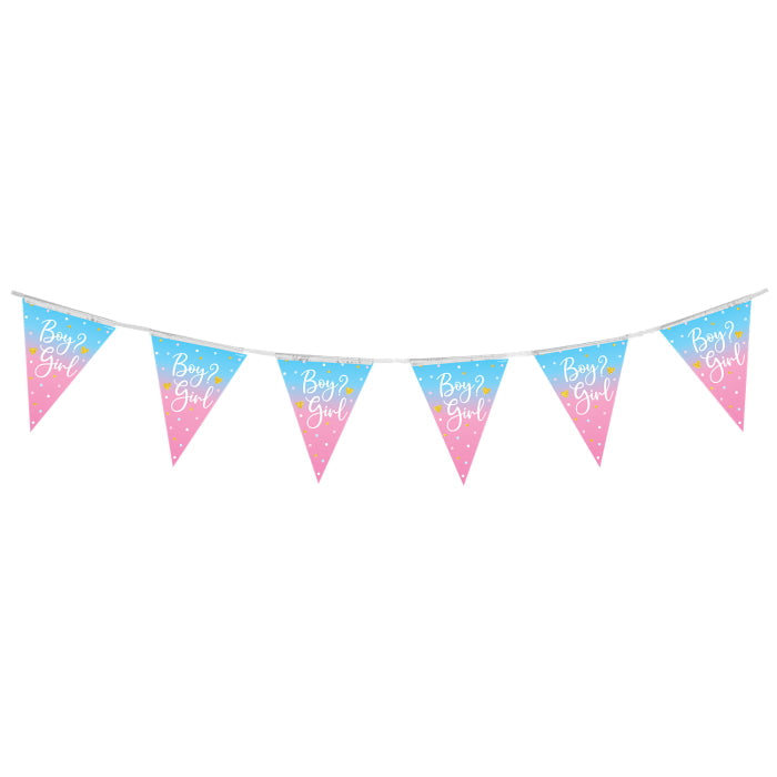 Ombre Boy or Girl Gender Reveal Bunting 11 flags 3.9m