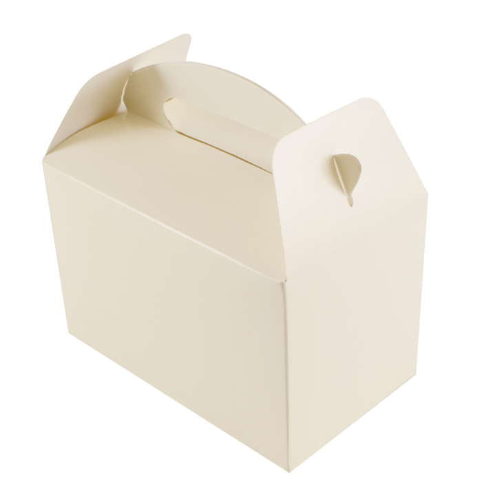 Ivory Party Boxes 6 Pack | Party Save Smile