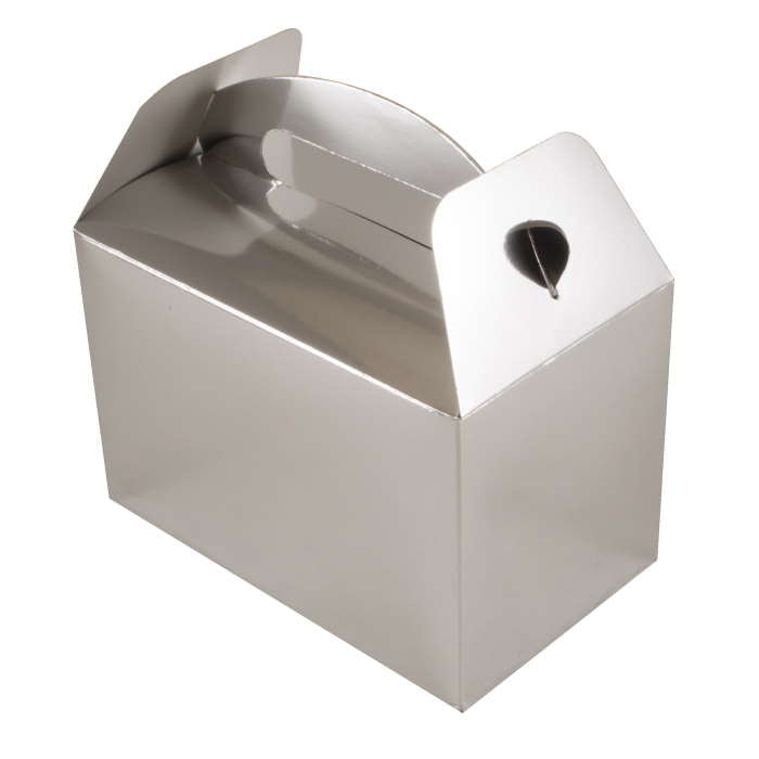 Metallic Silver Party Boxes 6 Pack | Party Save Smile