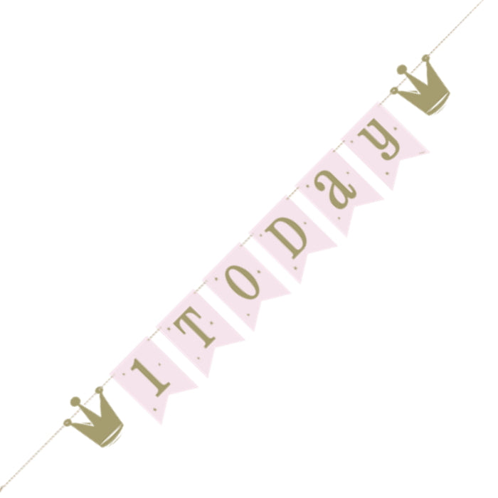 Ballerina 1st Birthday Party Pack: Tableware and Decoration Kit