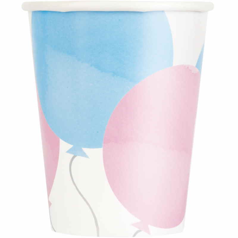 Girl or Boy Gender Reveal Party Pack: Kit with Decorations