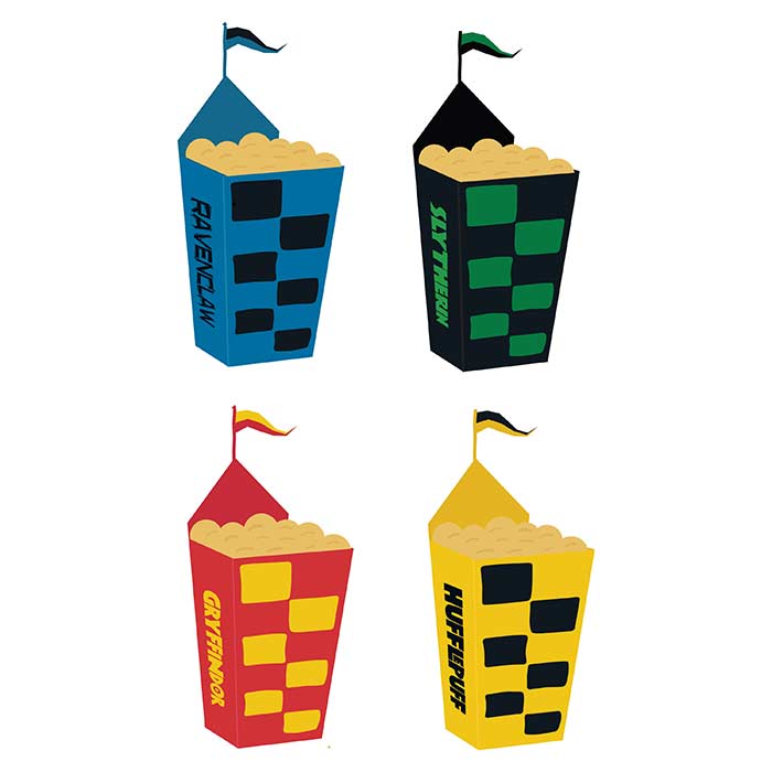 Harry Potter Quidditch Party Treat Boxes 8 Pack (Houses) | Party Save Smile
