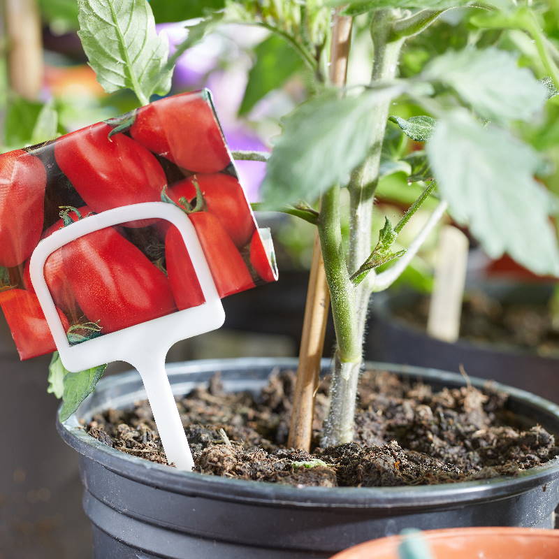 Plant and Seed T Labels 12.5cm 10 Pack | Party Save Smile