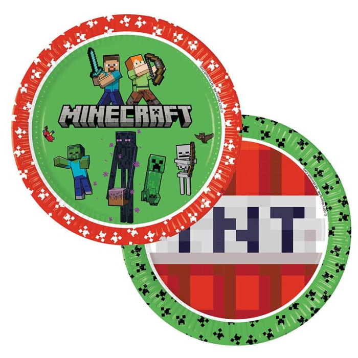 Minecraft Party Plates Paper 23cm Pack of 8 | Party Save Smile