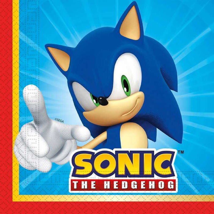 Sonic the Hedgehog Party Pack: Kit with Decorations