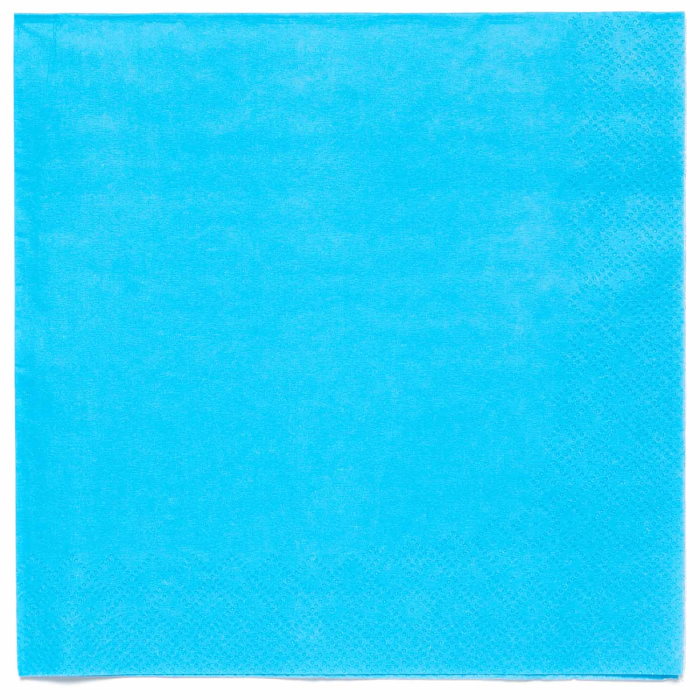 Forget Me Not Blue Napkins Pack of 20 | Party Save Smile