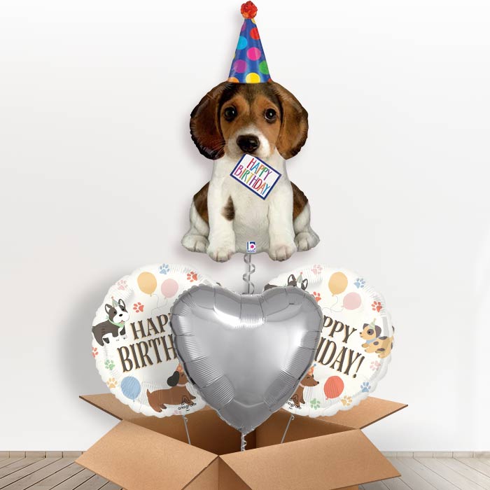 Dog Shaped Helium Balloon in a Box (Party Hat)-1 x Giant Balloon and 2 Themed Balloons and 1 Plain Balloon
