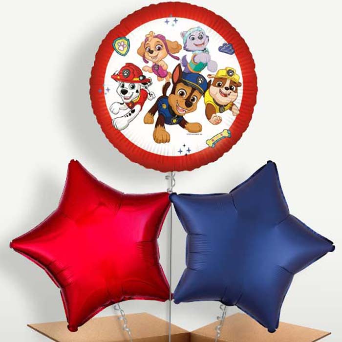 Paw Patrol Ready for Action Balloon Bunch | Party Save Smile