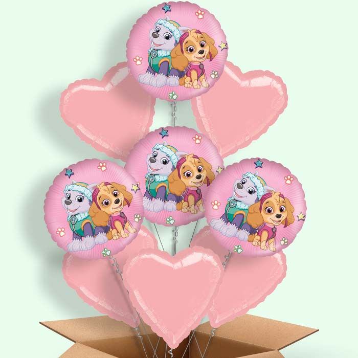 Paw Patrol Everest and Skye Helium Balloon in a Box - 9 Balloon | Party Save Smile