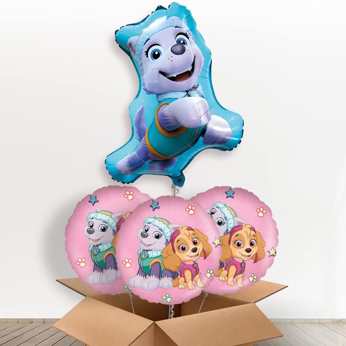 Giant Everest Paw Patrol Helium Balloon in a Box - With 3 Themed Balloons | Party Save Smile