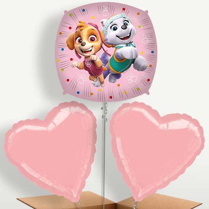 Paw Patrol Skye & Everest Balloon Bunch | Party Save Smile