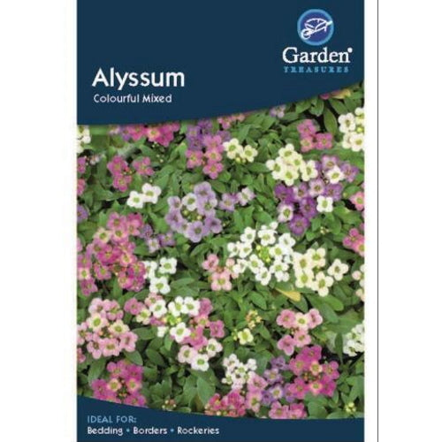 Alyssum Colourful Mixed Seeds: Flower Seeds | Party Save Smile