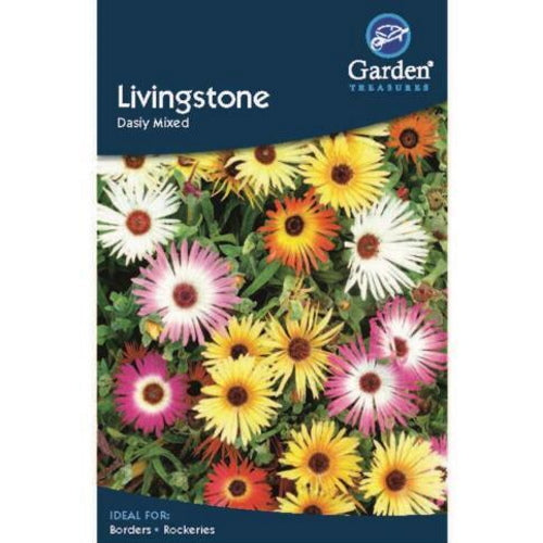 Livingstone Daisy Mixed Seeds: Flower Seeds | Party Save Smile