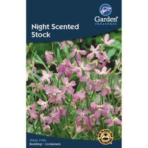 Night Scented Stock Seeds: Flower Seeds | Party Save Smile