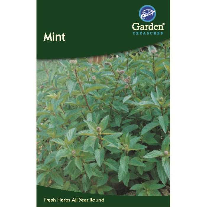 Mint Seeds: Herb Seeds | Party Save Smile