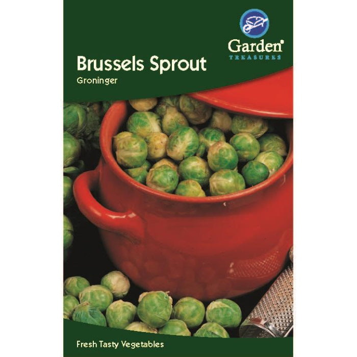 Brussel Sprout Groninger Seeds | Party Save Smile