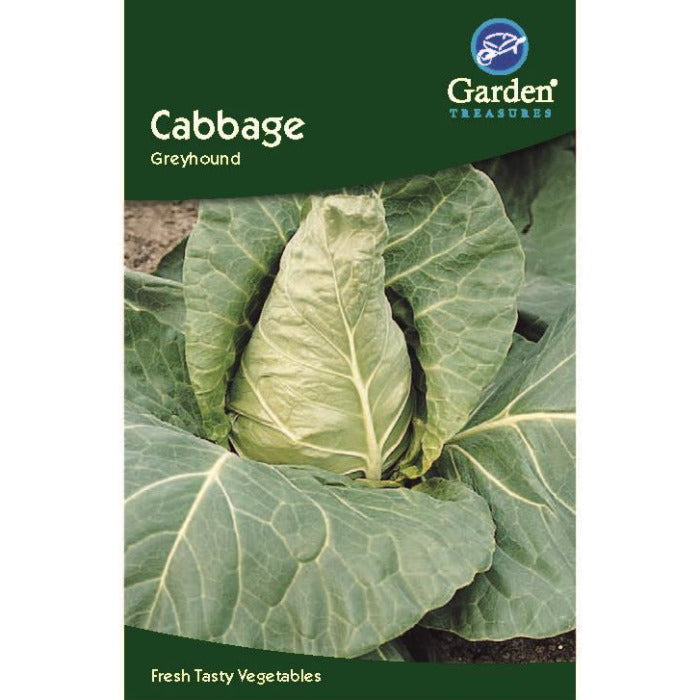 Cabbage Greyhound Seeds: Vegetable Seeds | Party Save Smile