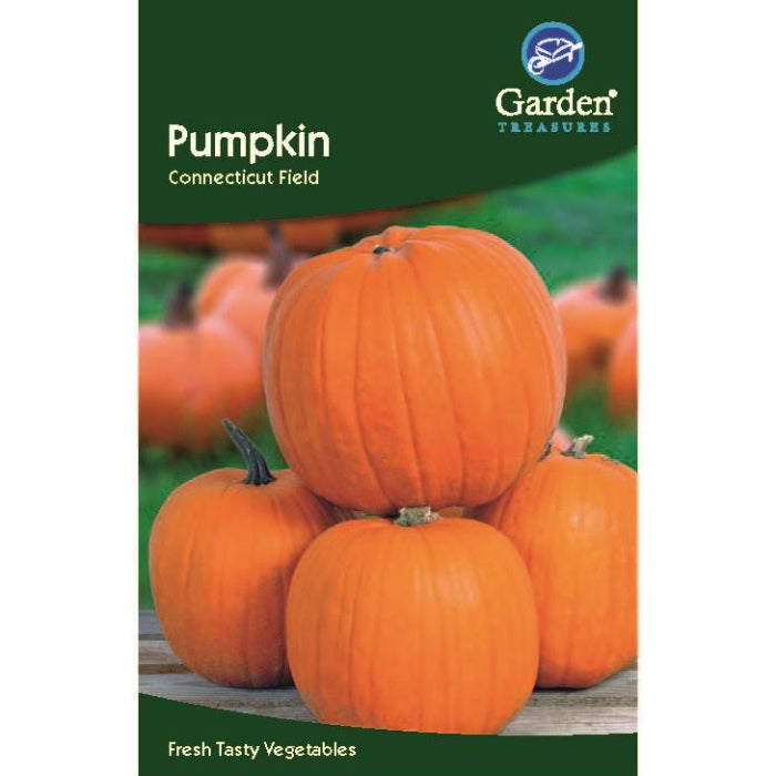 Pumpkin Connecticut Field Seeds | Party Save Smile