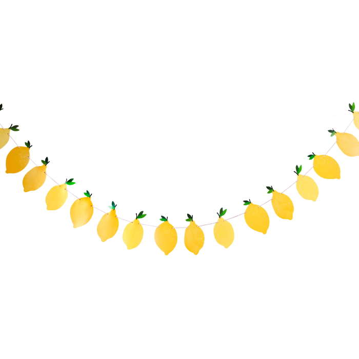 Lemon Garland Banner 2.5 metres | Party Save Smile