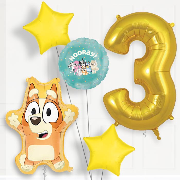 Bingo 3rd Birthday Balloon Package | Party Save Smile