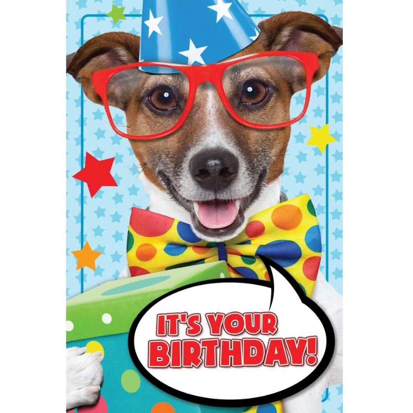 Party Dog 'It's Your Birthday' Greeting Card | Party Save Smile