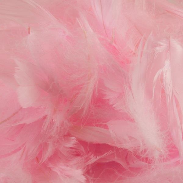 Baby Pink Craft Feathers 50 grams | Party Save Smile