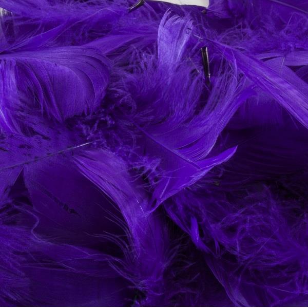 Purple Craft Feathers (50 grams) | Party Save Smile