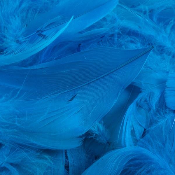 Turquoise Blue Craft Feathers (50 grams) | Party Save Smile