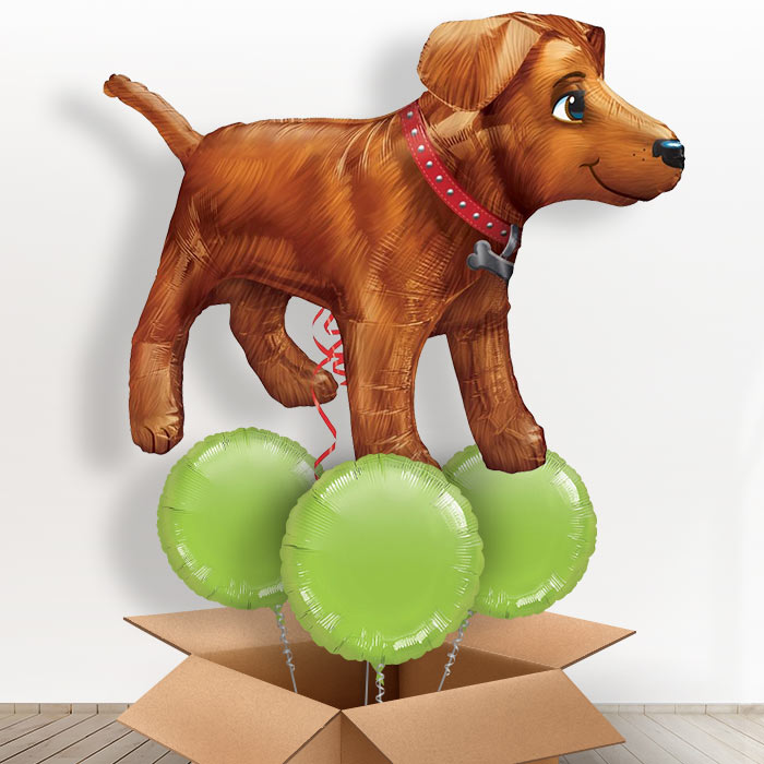 Giant Dog Helium Balloon in a Box - With 3 Plain Balloons | Party Save Smile