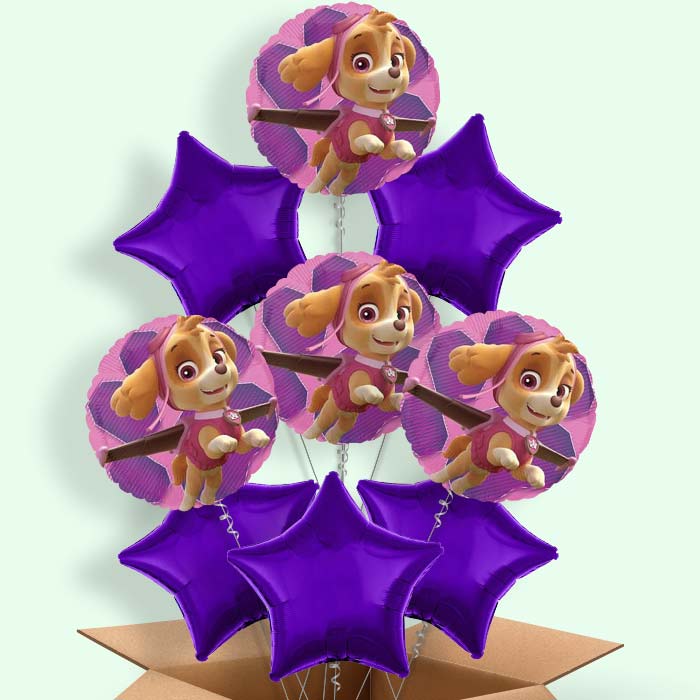 Skye Paw Patrol Helium Balloons in a Box - 9 Balloon | Party Save Smile