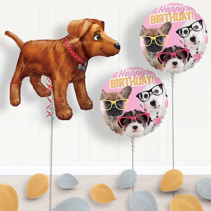 Inflated Dog | Puppy Helium Balloon Package in a Box - Package | Party Save Smile