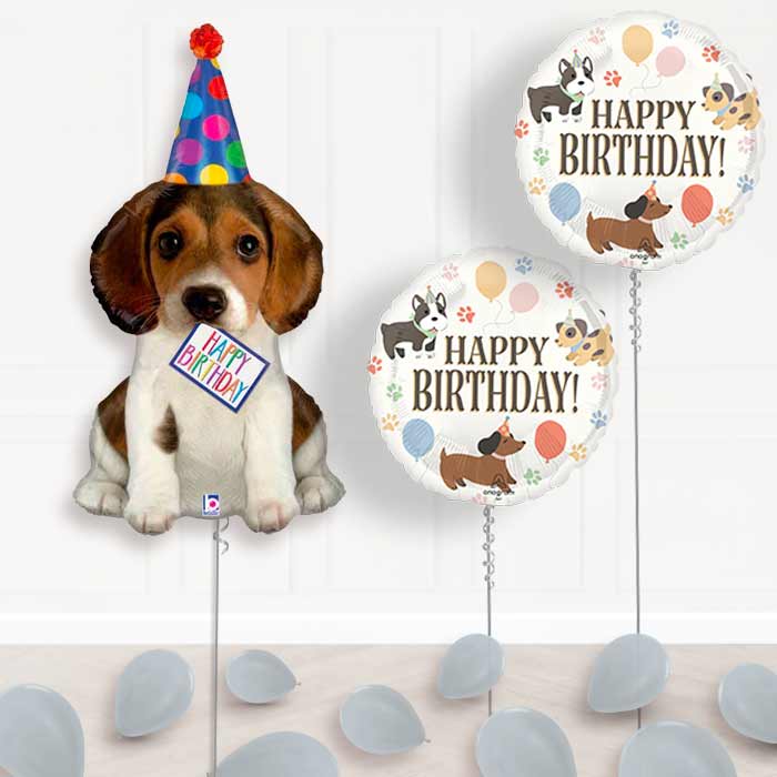 Dog Shaped Balloon Display Package Delivered (Party Hat) - Balloon Package | Party Save Smile