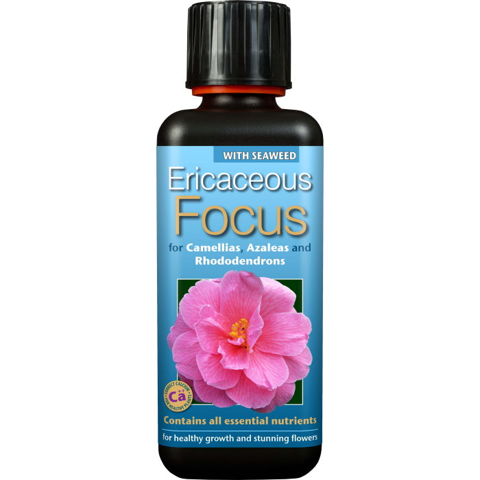 Ericaceous Focus Plant Food 300 ml | Party Save Smile