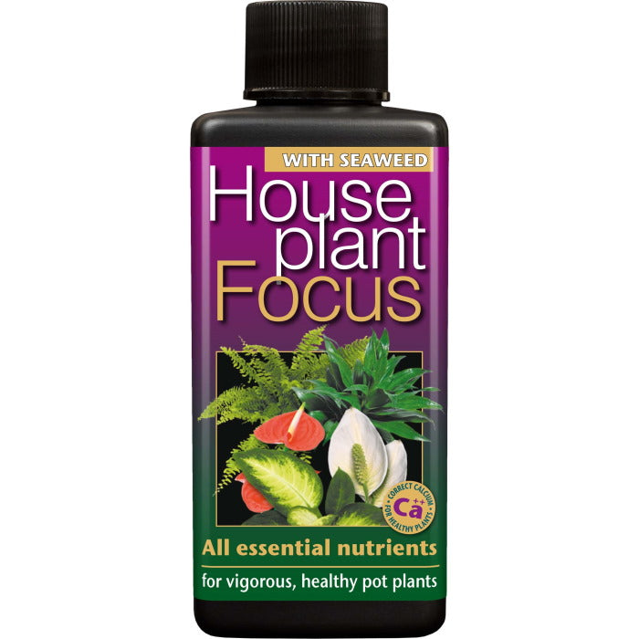 Houseplant Focus Plant Food 100 ml