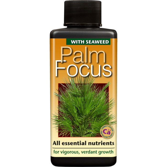 Palm Focus Plant Food 100 ml: Food for Palm Plants