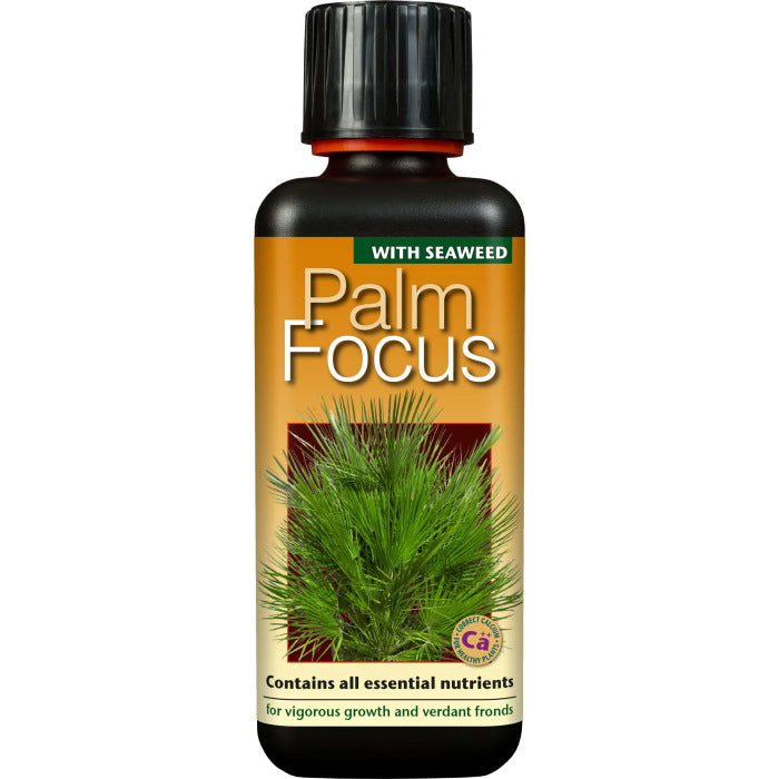 Palm Focus 300 ml: Palm Plant Food | Party Save Smile