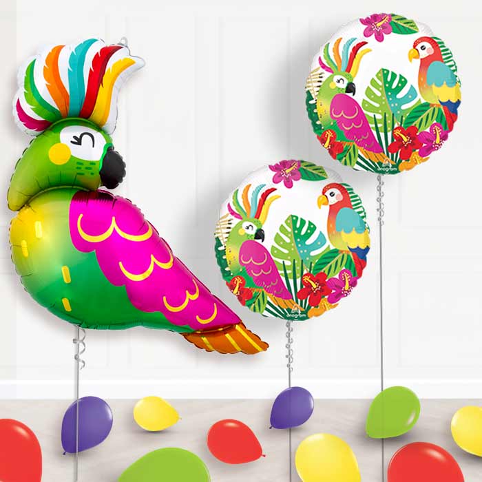 Tropical Parrot Balloon Display Package Delivered Inflated