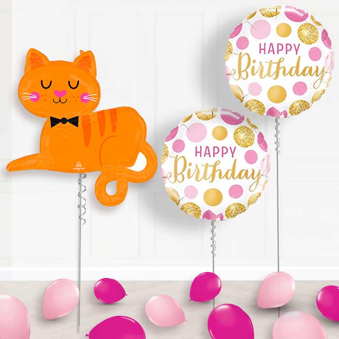 Orange Tabby Cat Balloon Display Package Delivered Inflated - Balloon Package | Party Save Smile