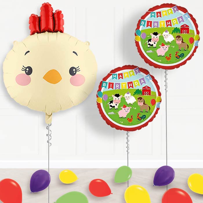 Chicken Head Balloon Display Package Delivered Inflated-Balloon Package | Party Save Smile