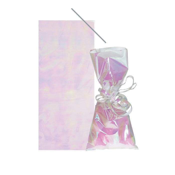 Iridescent Party Bags Pack of 10 | Party Save Smile