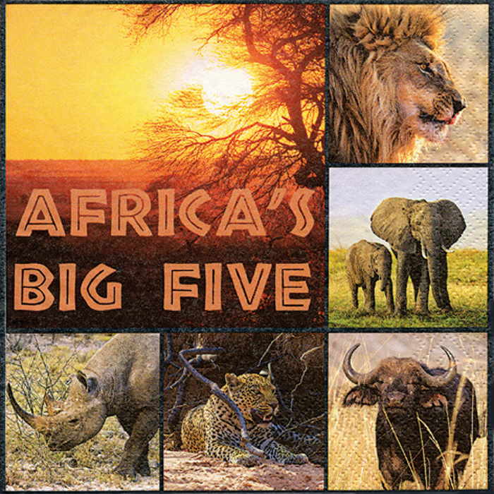 African Safari Napkins 3 Ply Pack of 20 | Party Save Smile