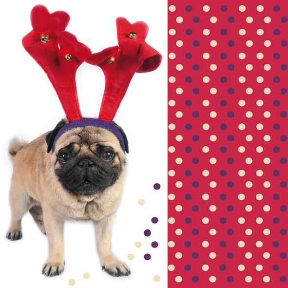 Christmas Napkins Santa Pug Pack of 20 | Party Save Smile