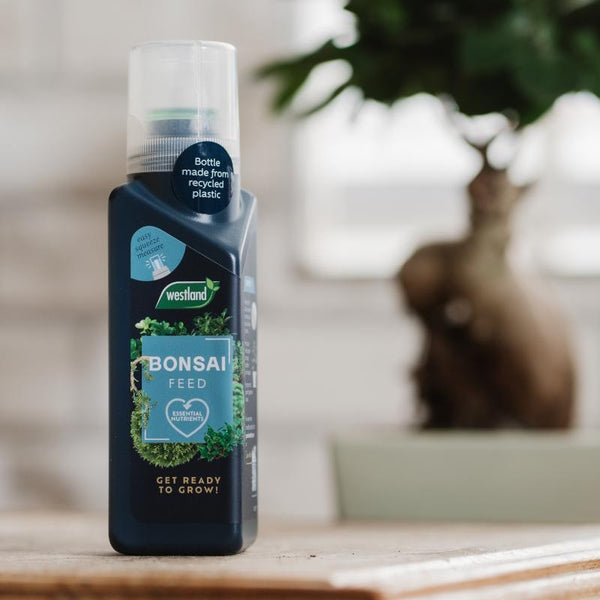 Westland Bonsai Feed Concentrate 200ml