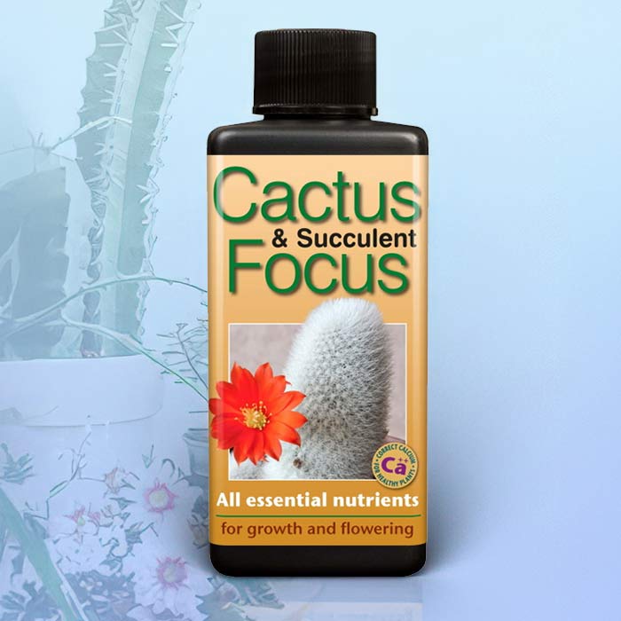Cactus Food bottle featuring essential nutrients for growth and flowering of cactus and succulent plants