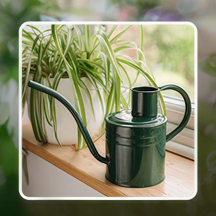 Stylish House Plant Watering Can placed on a windowsill next to vibrant houseplants for easy access