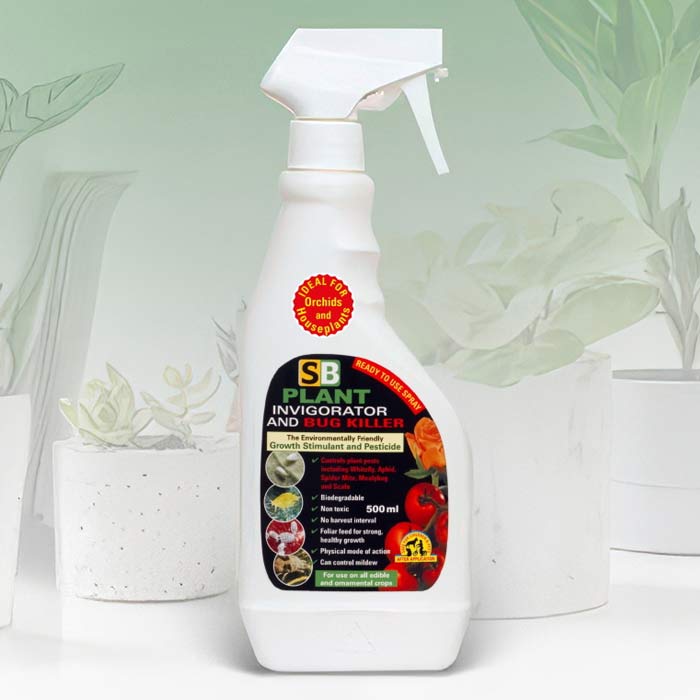 Indoor House Plant Pest Control Spray for Effective Treatment of Pests on Houseplants