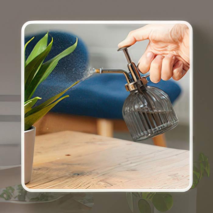 Stylish Indoor Plant Mister in use, effortlessly misting a houseplant for optimal growth and humidity