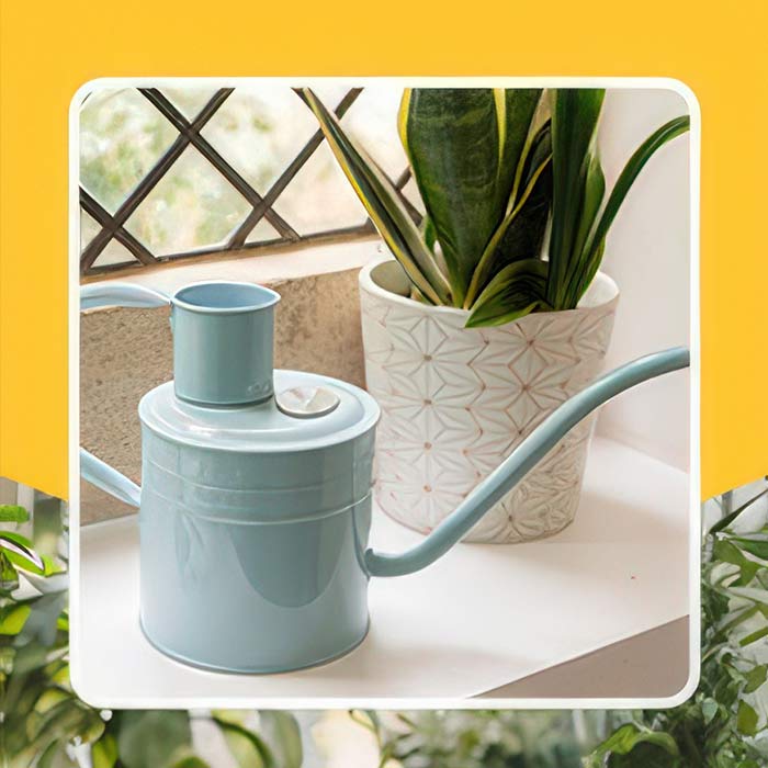Stylish indoor watering can placed next to a potted plant, perfect for house plant care