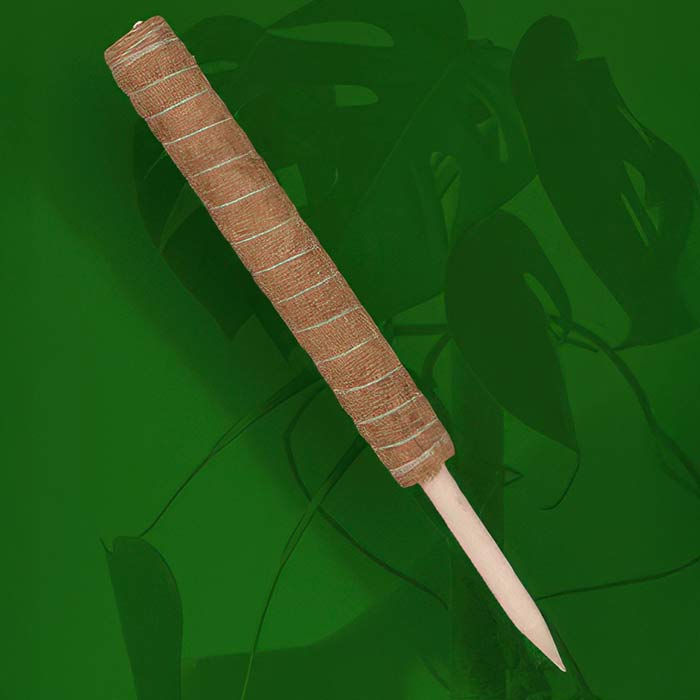 Moss Pole for Plants designed to support climbing houseplants like Monsteras and Philodendrons